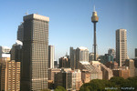 Sydney Skyline
